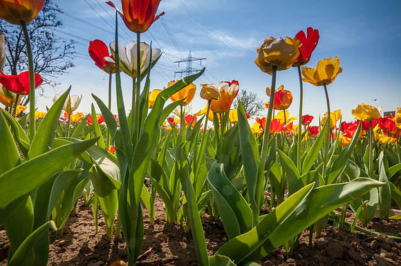 20140402_114352__DSC3227