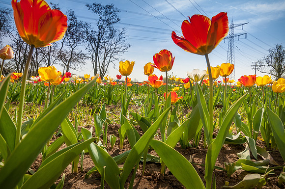 20140402_114536__DSC3247