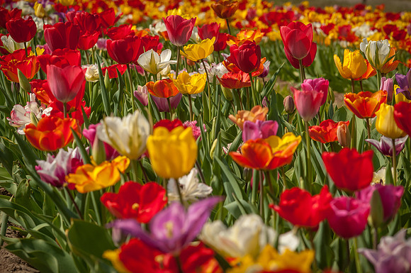 20140402_113701__DSC3153