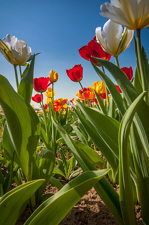 20140402_114550__DSC3251