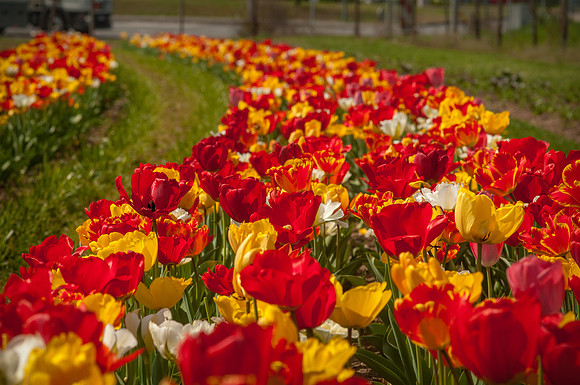 20140402_113724__DSC3157