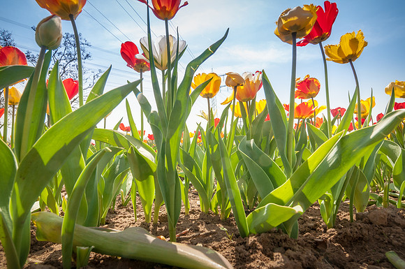 20140402_114406__DSC3230