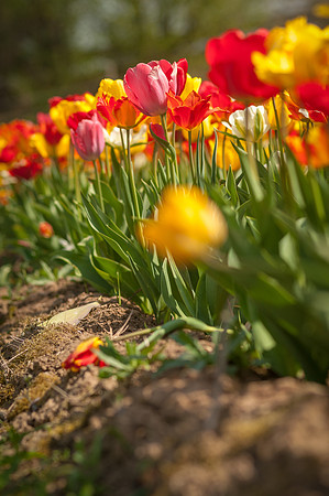 20140402_114009__DSC3184