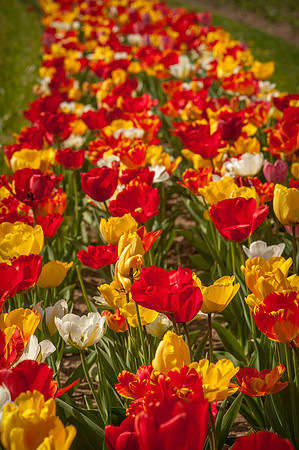 20140402_113807__DSC3168