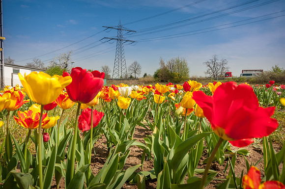 20140402_114651__DSC3257