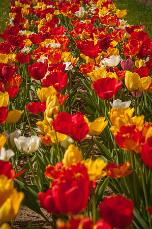 20140402_113758__DSC3165