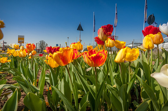 20140402_114729__DSC3261