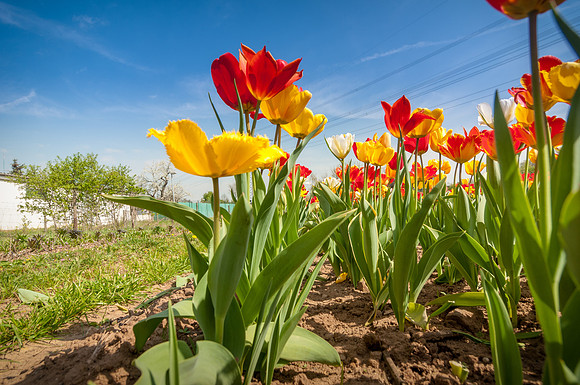 20140402_114243__DSC3200