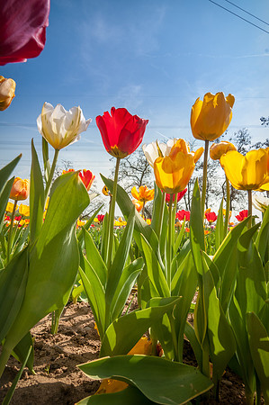 20140402_114331__DSC3219