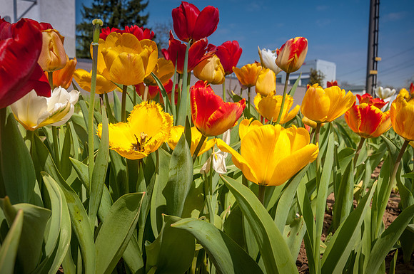 20140402_114820__DSC3268