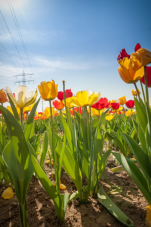 20140402_114315__DSC3213
