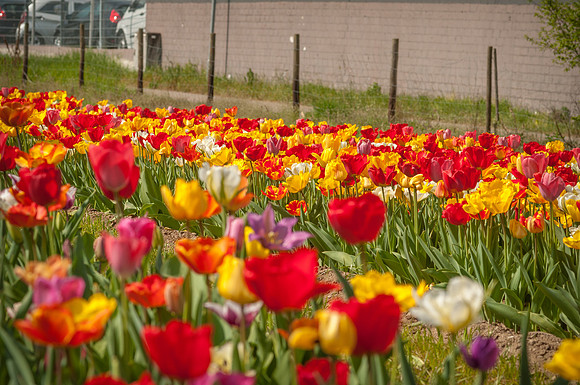 20140402_113650__DSC3149