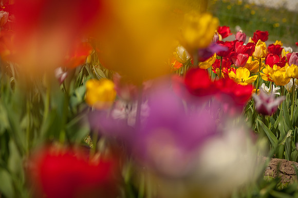 20140402_113555__DSC3141