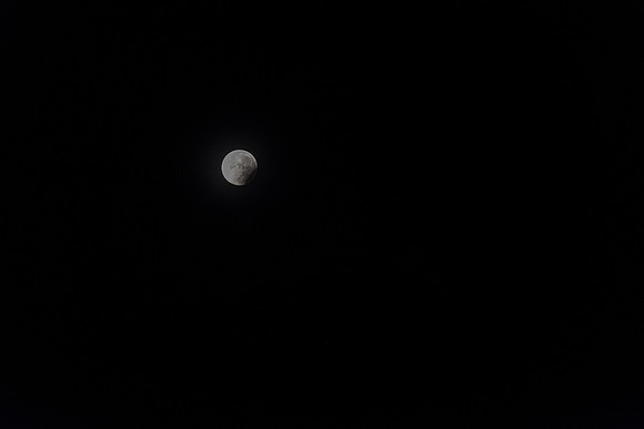DSC_8093