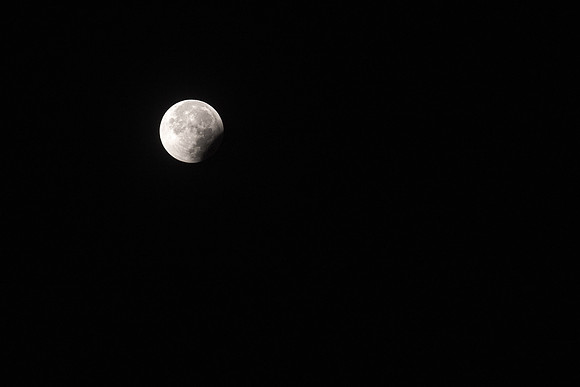 DSC_8094