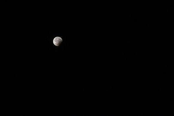 DSC_8094-2