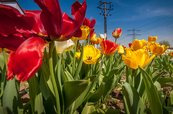 20140402_114747__DSC3264