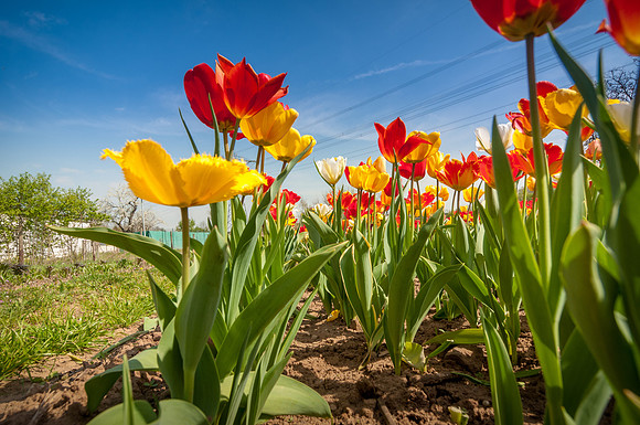 20140402_114242__DSC3199