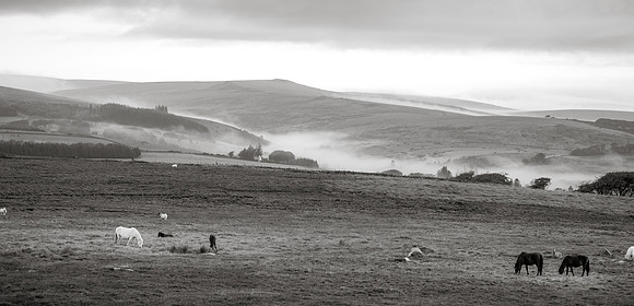 20110825_073404___DSC6284