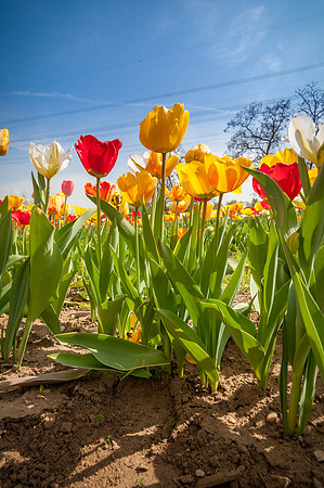 20140402_114308__DSC3208