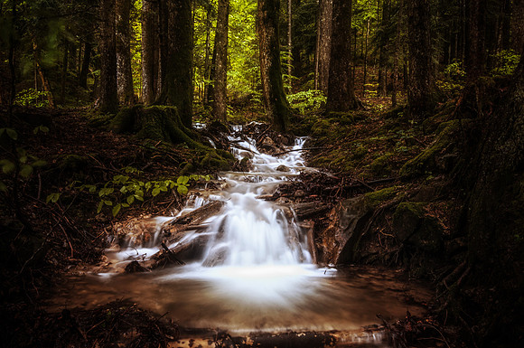 20130601_080431__DSC7023-457