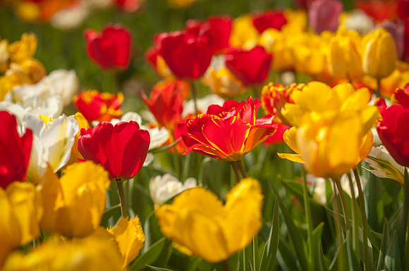 20140402_113911__DSC3176
