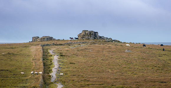 20110825_072119___DSC6261