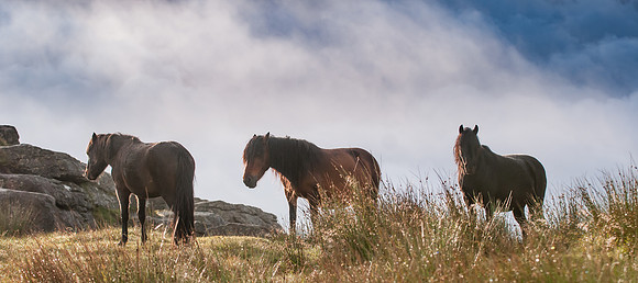 20110825_073845___DSC6319