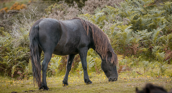 20110824_135047___DSC5971