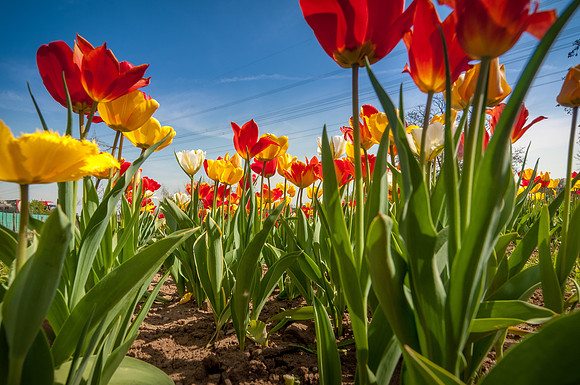 20140402_114241__DSC3198