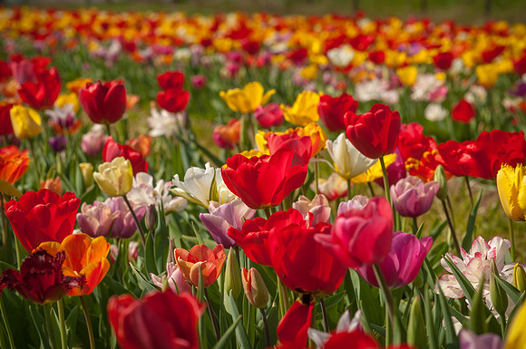 20140402_113509__DSC3134