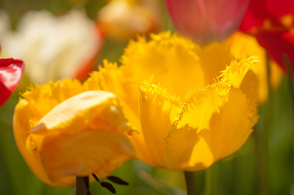 20140402_113904__DSC3174