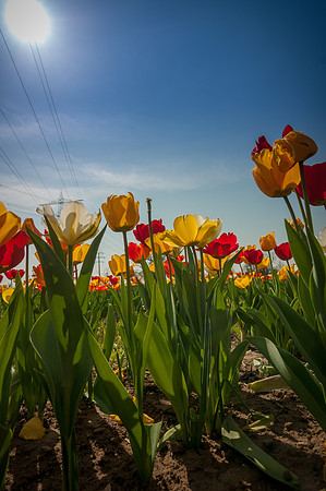 20140402_114316__DSC3214