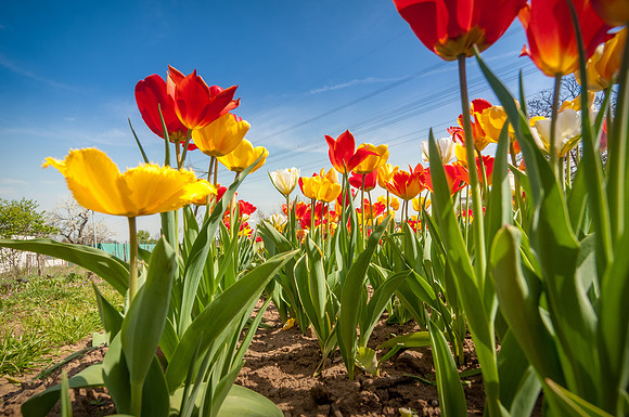 20140402_114244__DSC3201
