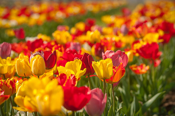 20140402_113920__DSC3179
