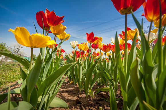 20140402_114239__DSC3196