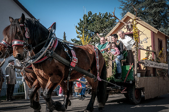 20140309_135609__DSC0645