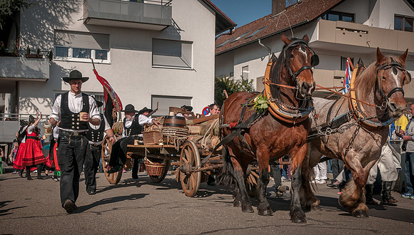 20140309_140947__DSC0753