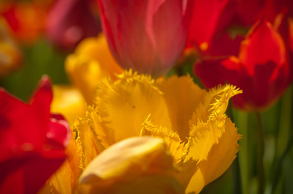 20140402_113900__DSC3173
