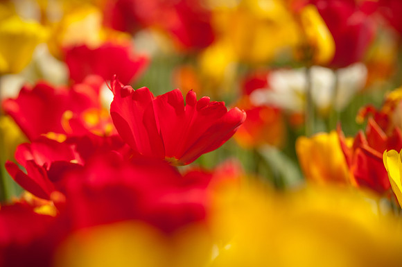 20140402_114117__DSC3188
