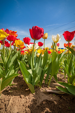 20140402_114310__DSC3209