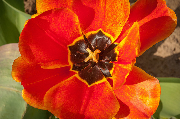 20140402_113623__DSC3144