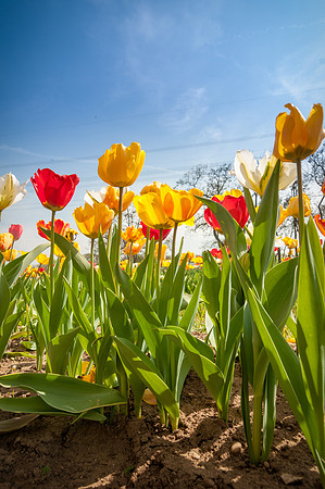 20140402_114307__DSC3206