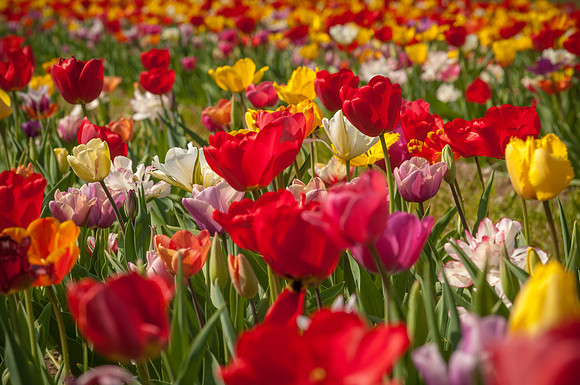 20140402_113516__DSC3135