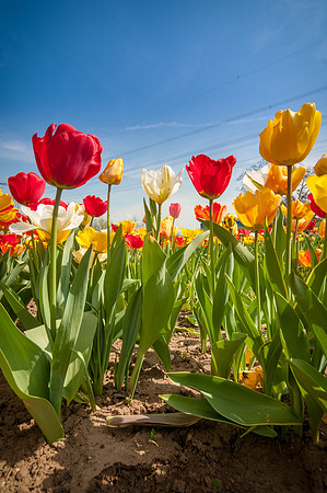 20140402_114311__DSC3210