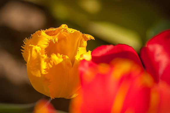 20140402_114056__DSC3187