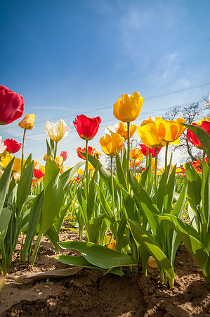 20140402_114305__DSC3204