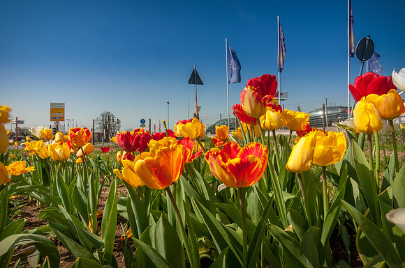 20140402_114735__DSC3262