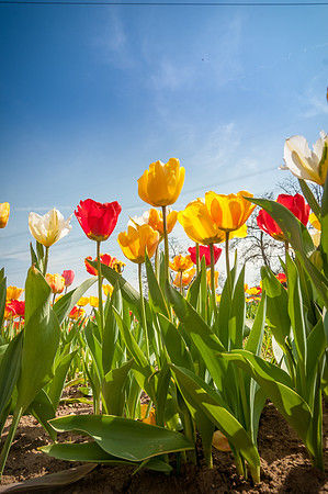20140402_114255__DSC3203