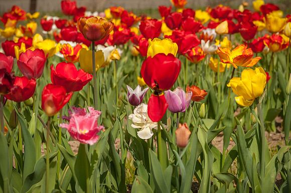 20140402_113531__DSC3137